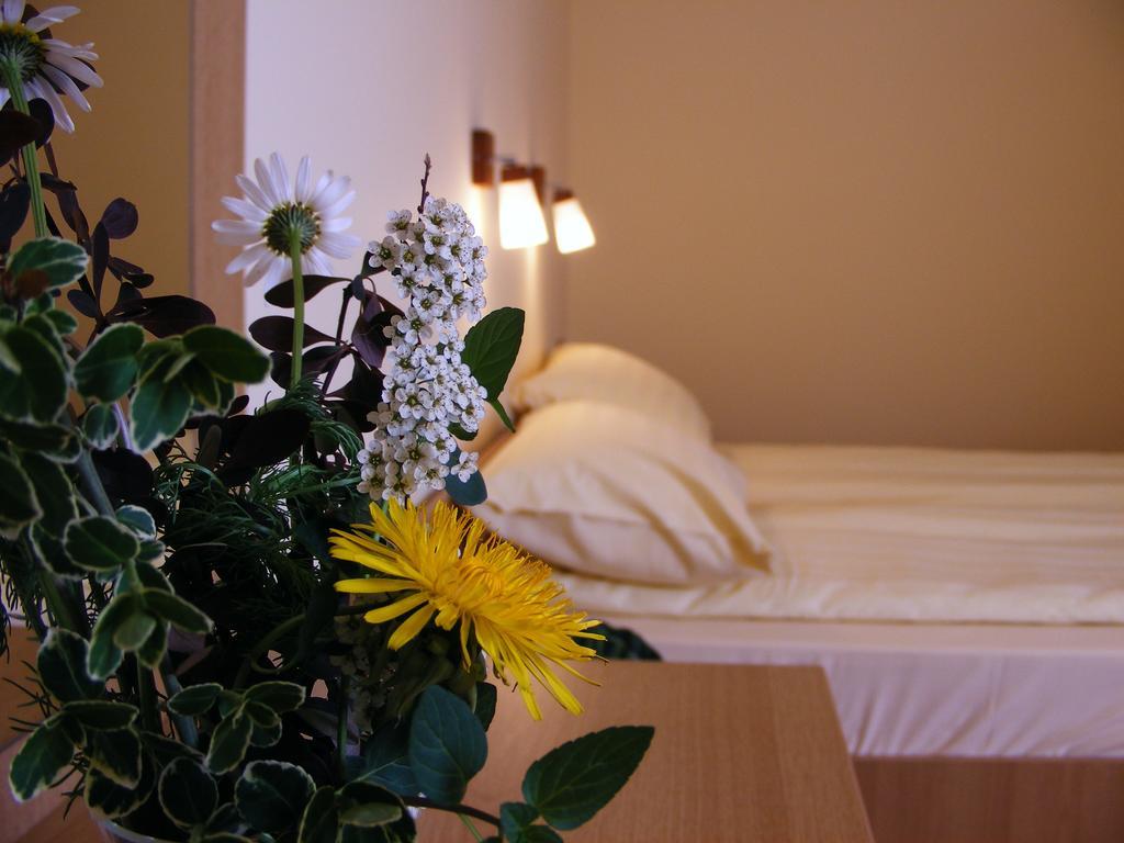 Motel Vector Găeşti Kamer foto