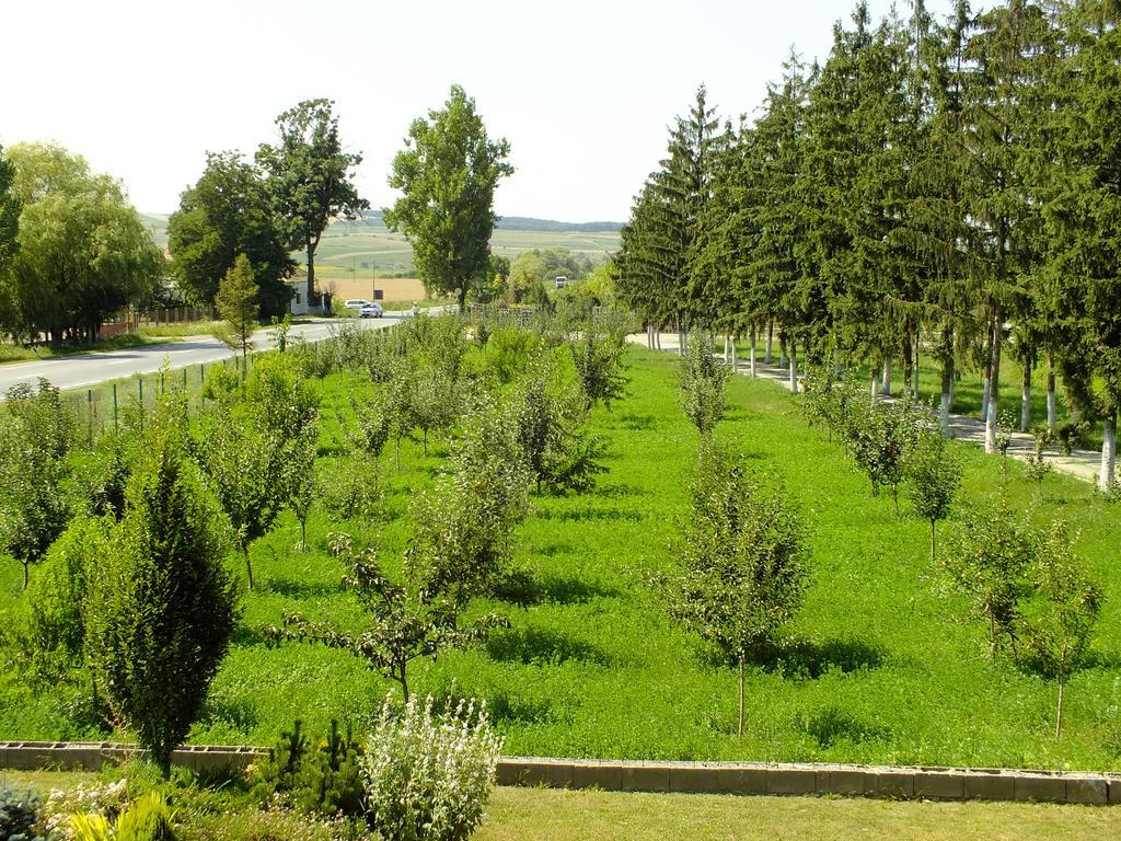Motel Vector Găeşti Buitenkant foto